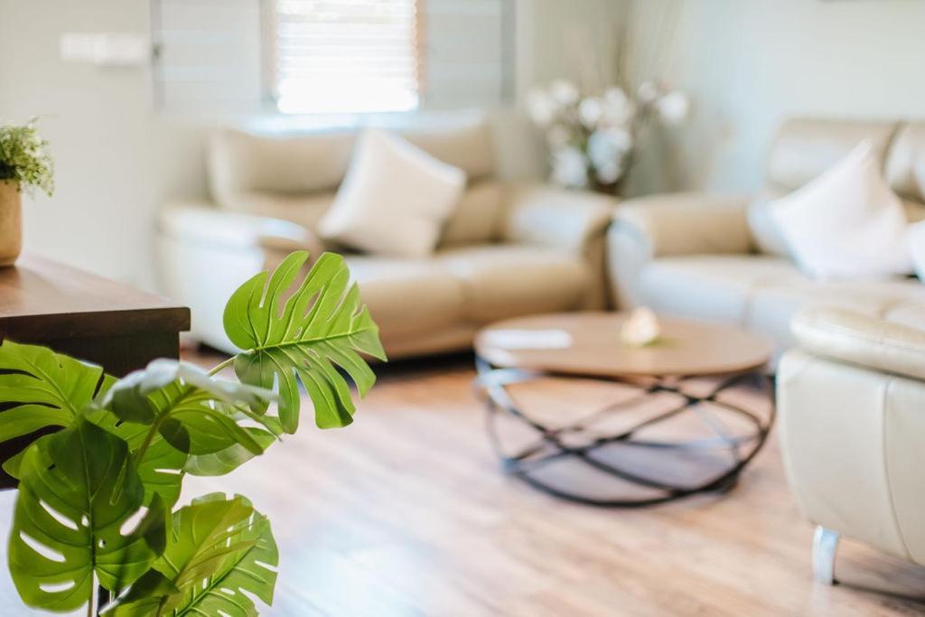Platinum Cawa Apartments Nadi Zewnętrze zdjęcie